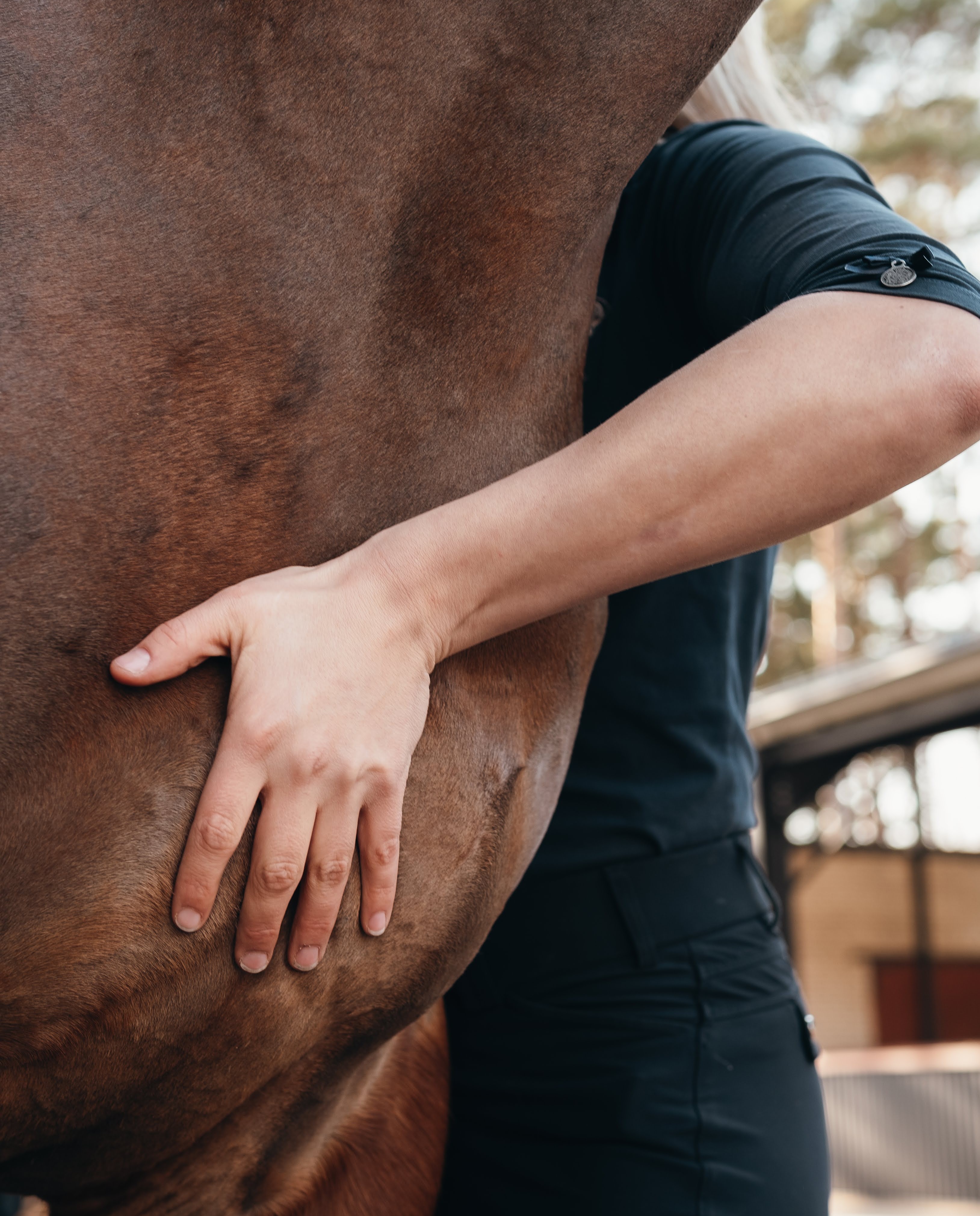 Back treatment of a horse