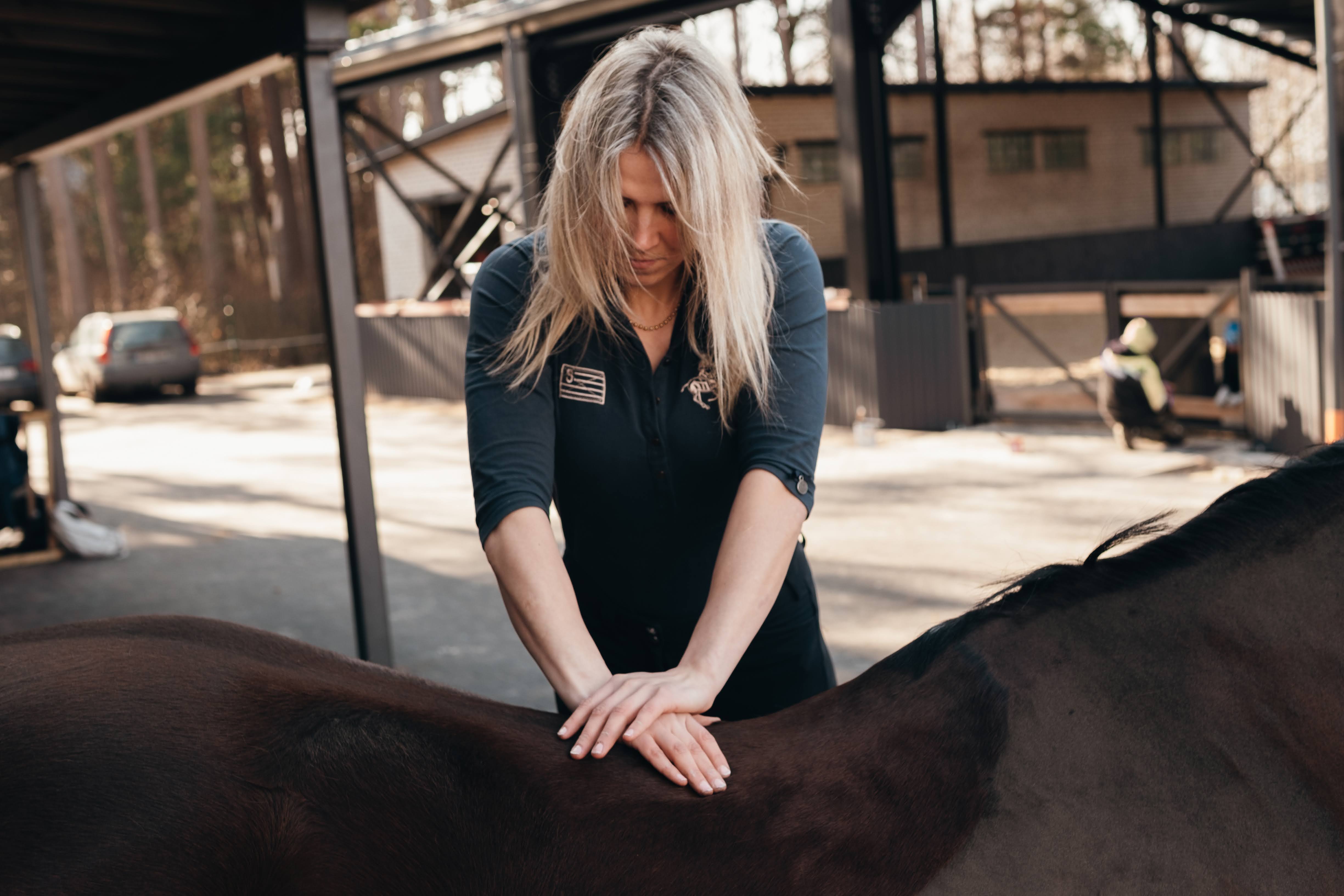 Back treatment of a horse